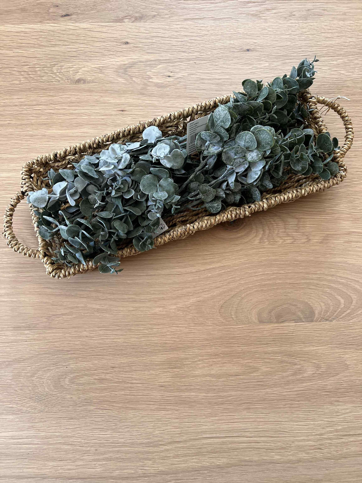 Eukalyptus