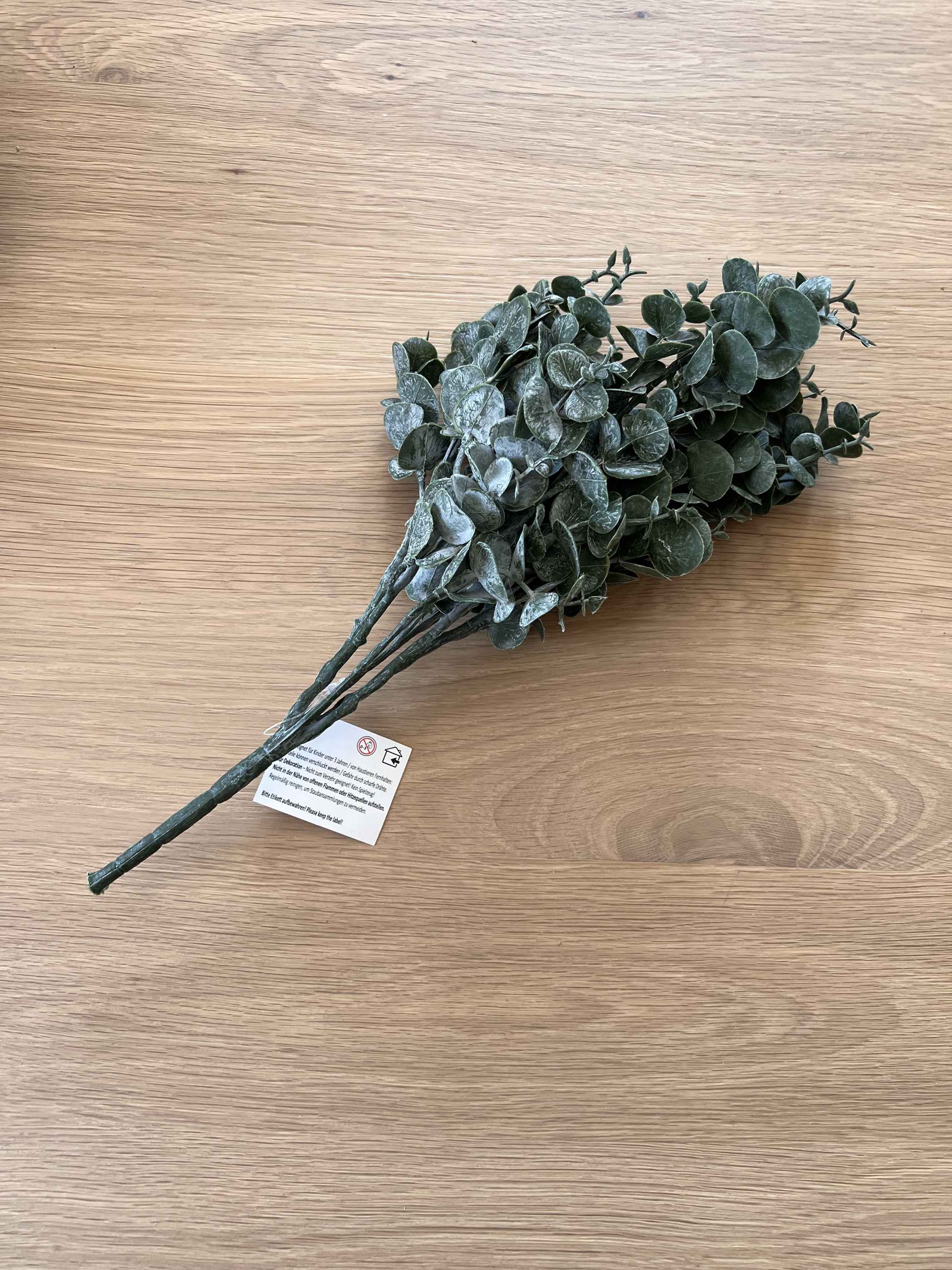 Eukalyptus