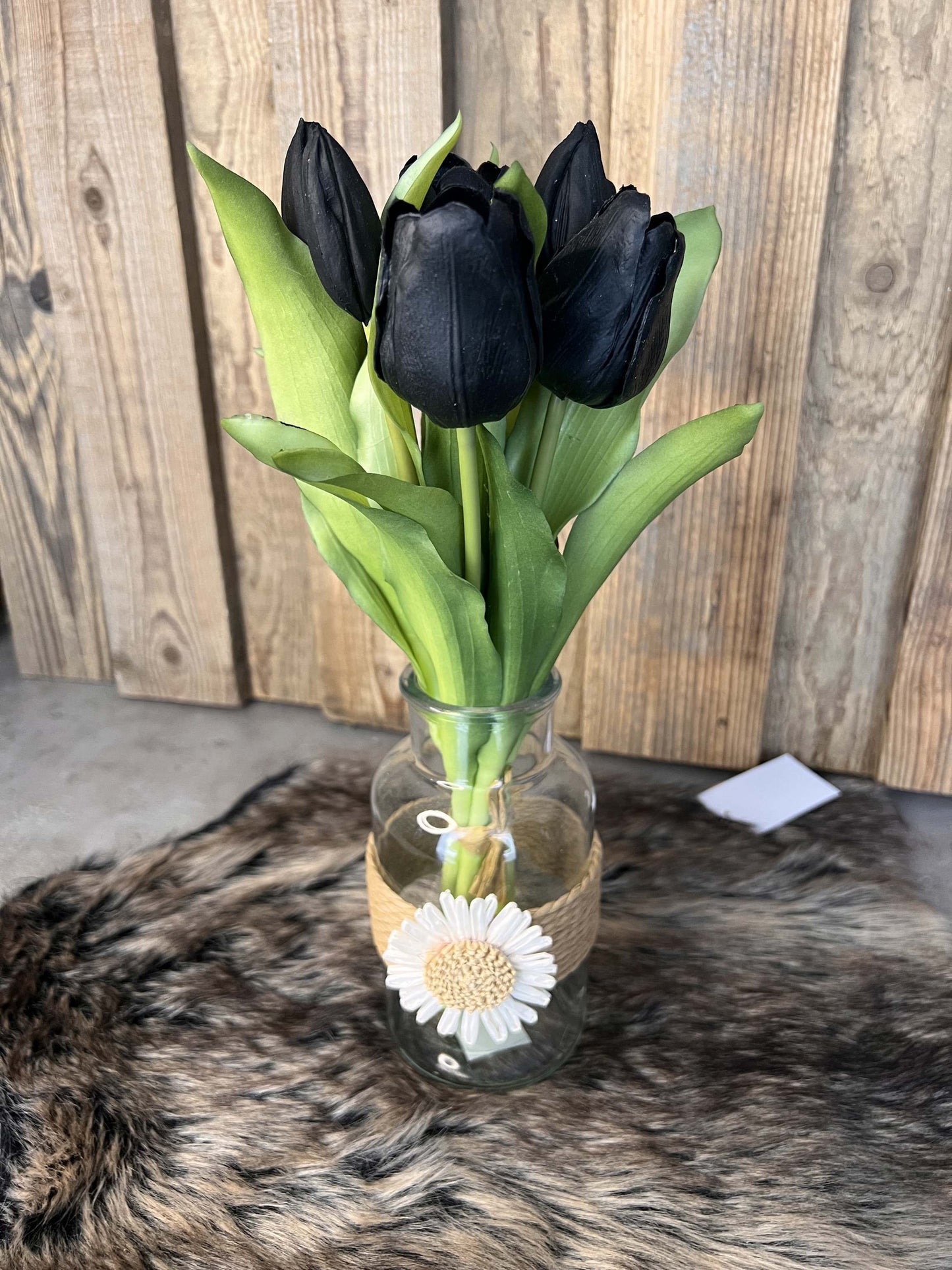 Tulpen "Schwarz"