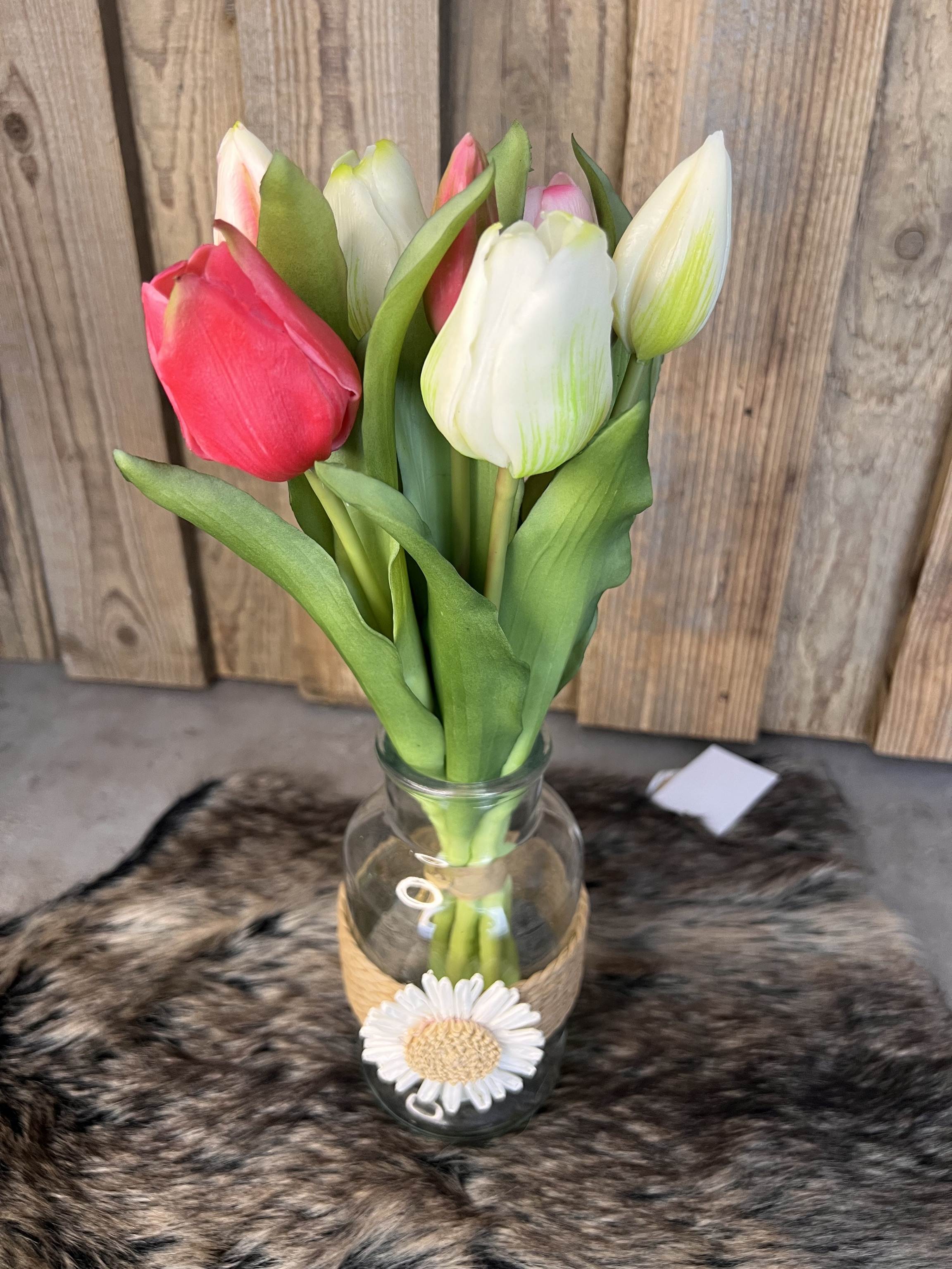 Tulpen "Weiß/Pink"