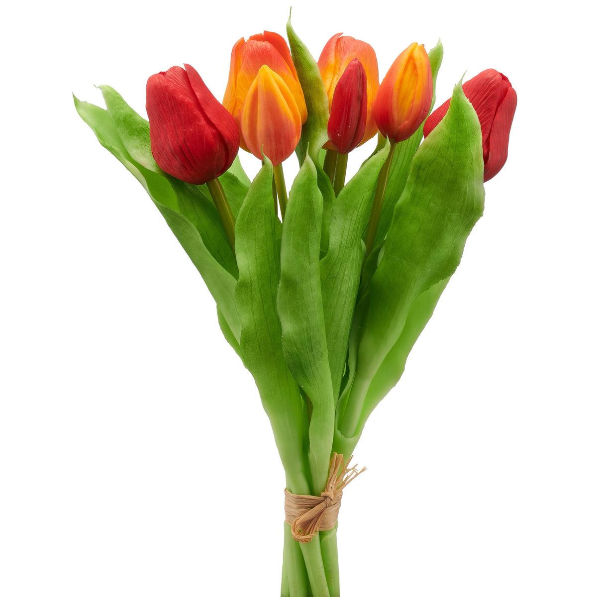 Tulpen "Rot/Orange"