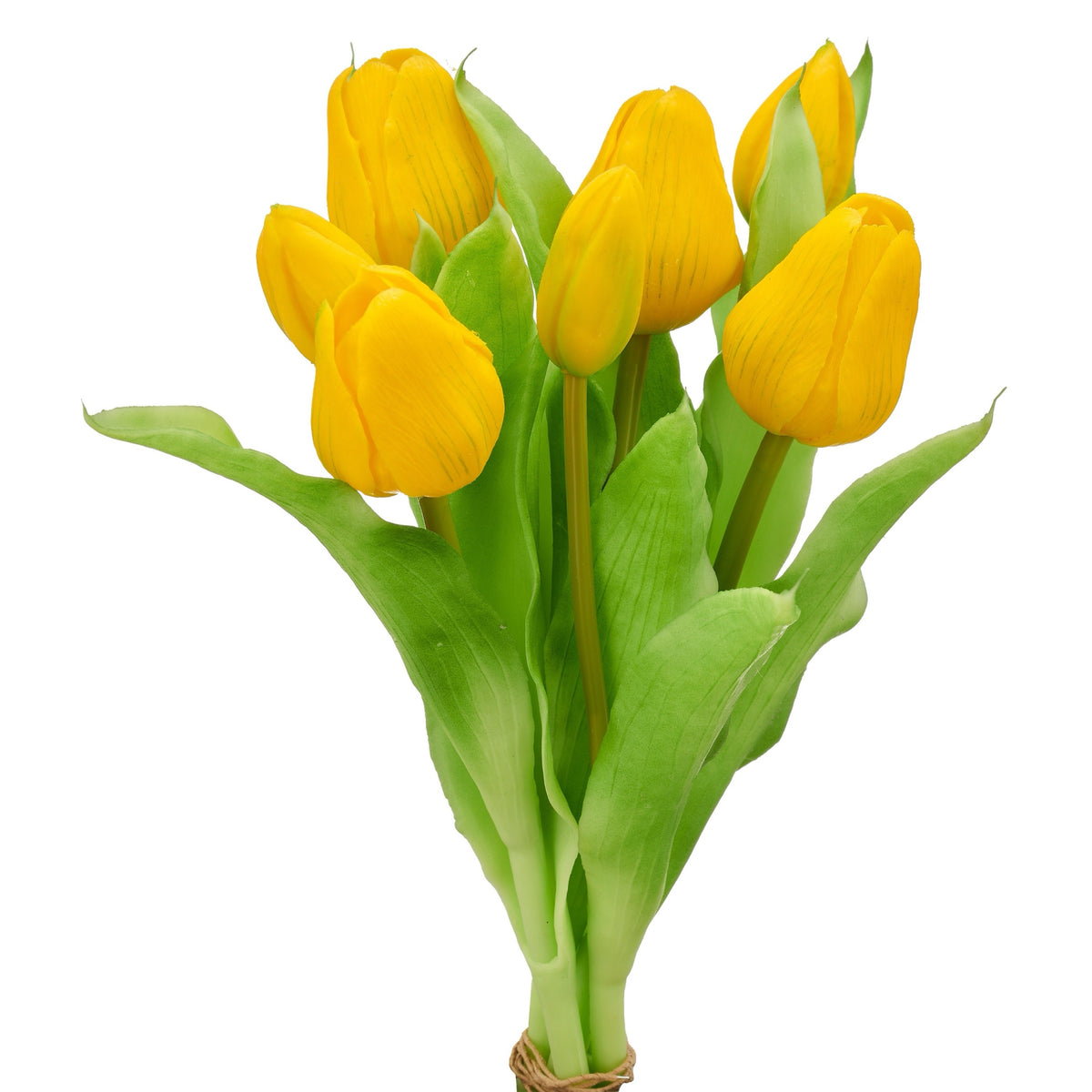 Tulpen "Gelb"