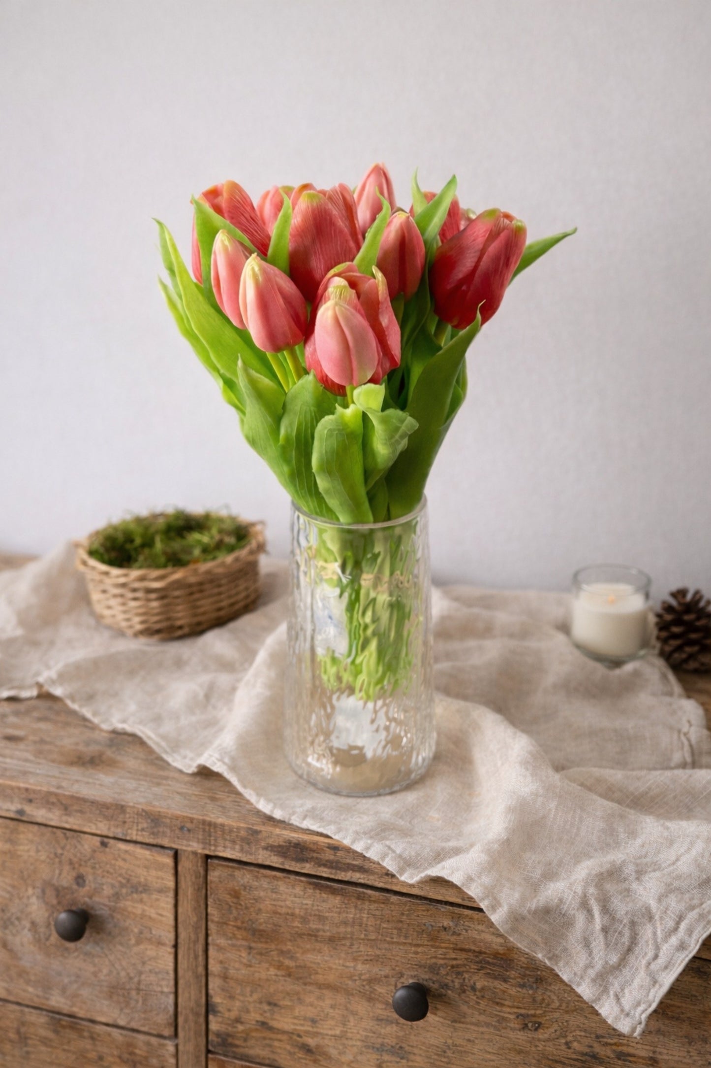 Tulpen "Mauve"