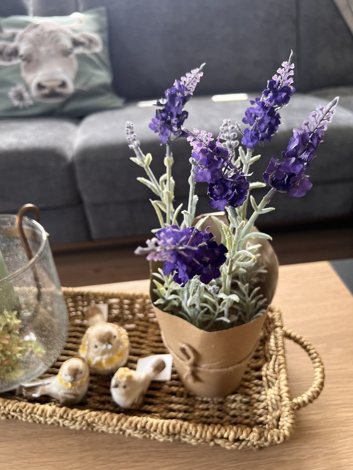 Lavendel im Topf