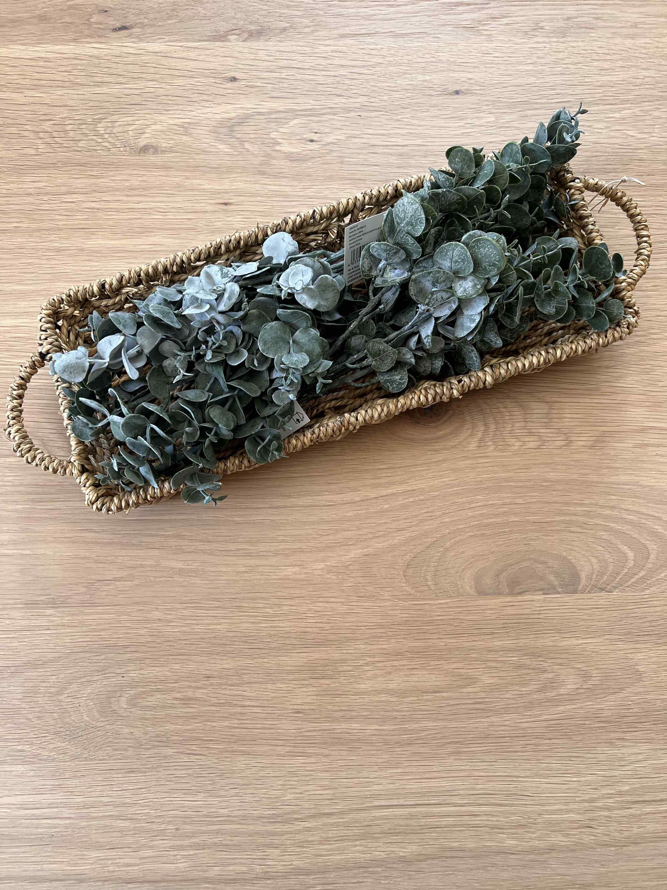 Eukalyptus