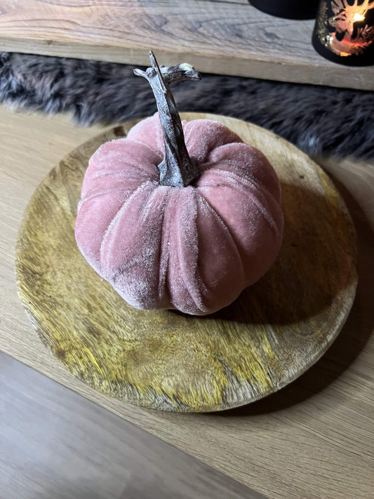 Samtkürbis Rosa