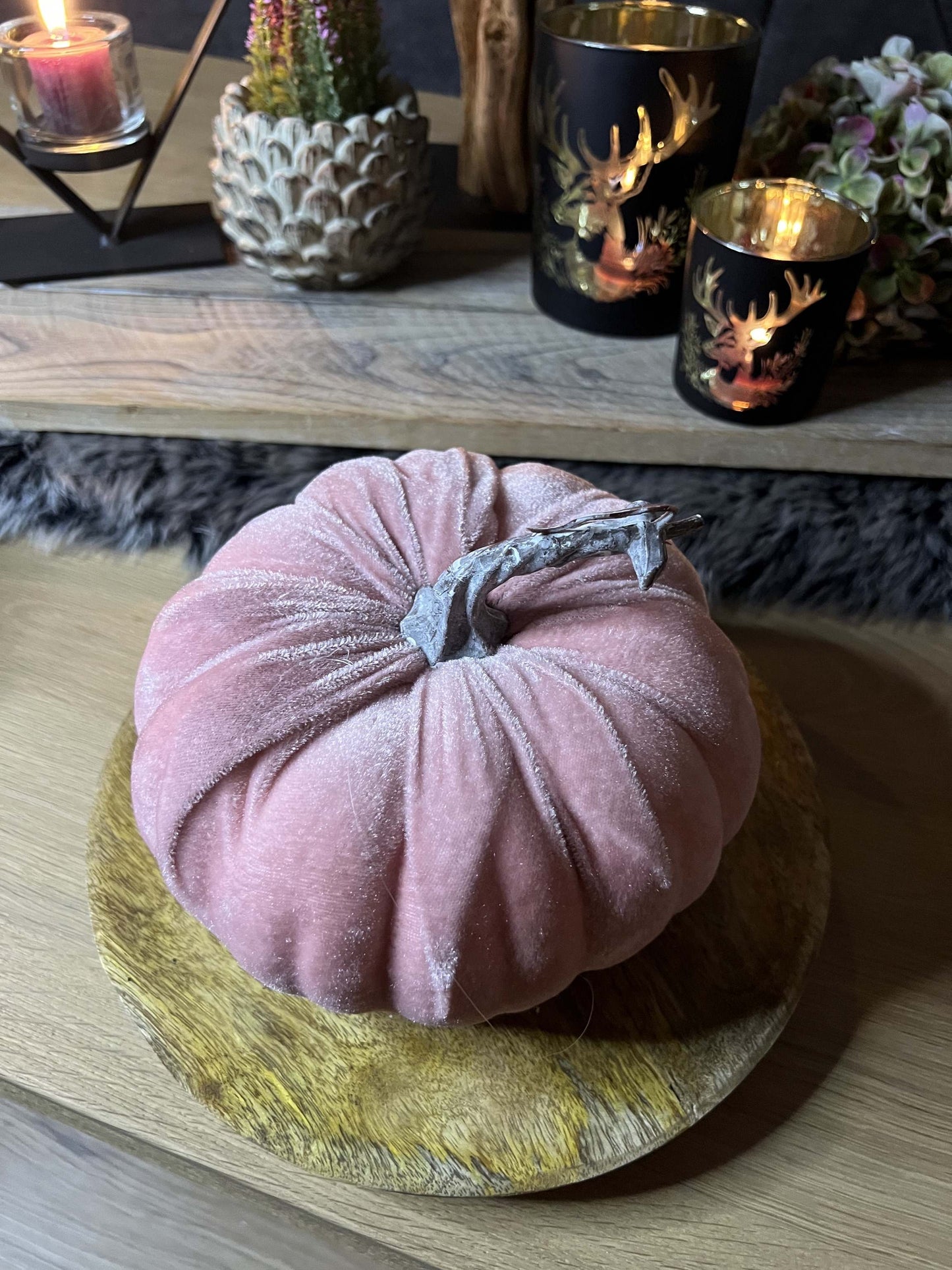 Samtkürbis Rosa