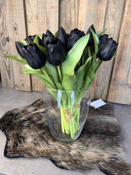 Tulpen "Schwarz"