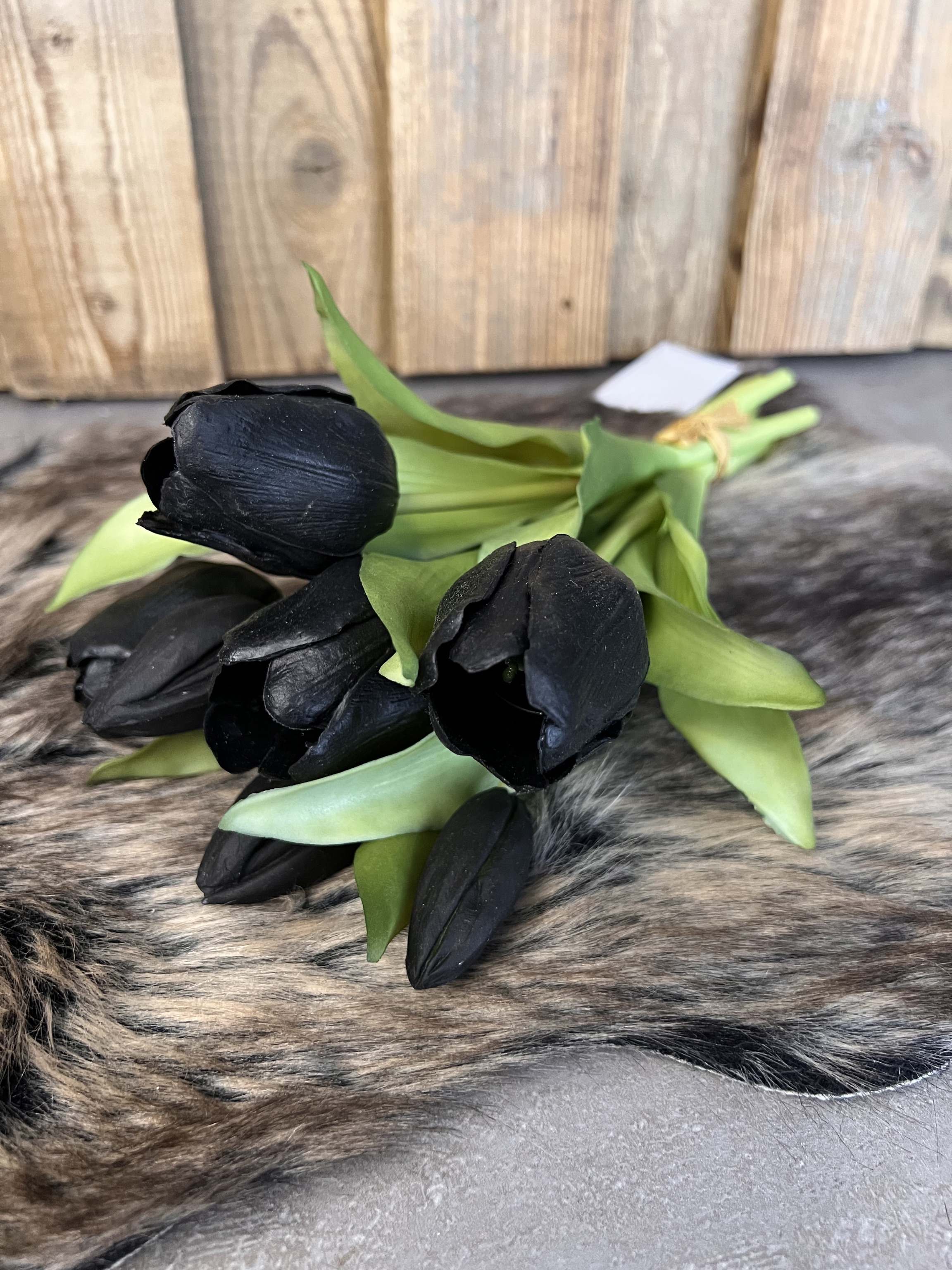 Tulpen "Schwarz"