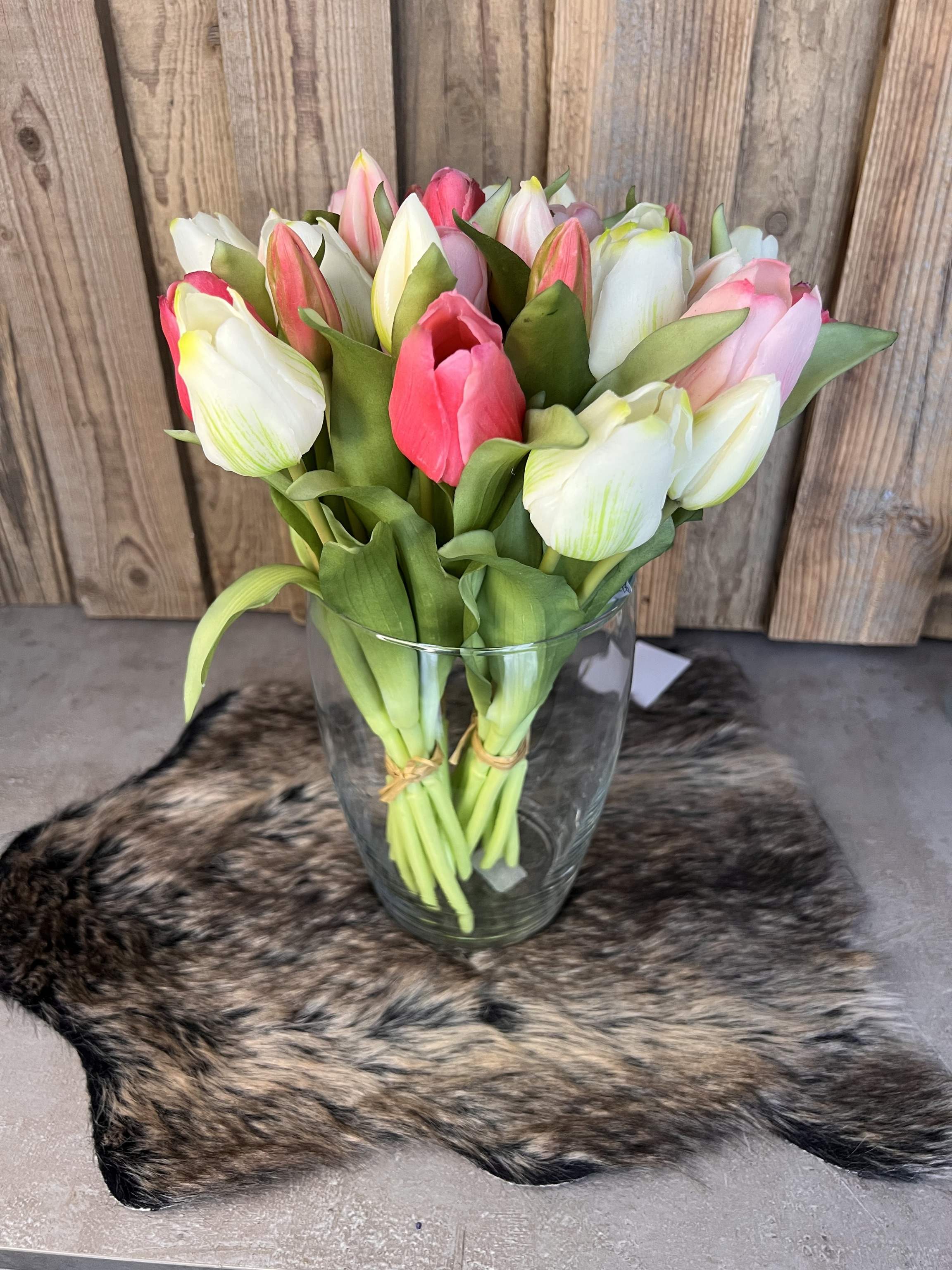 Tulpen "Weiß/Pink"