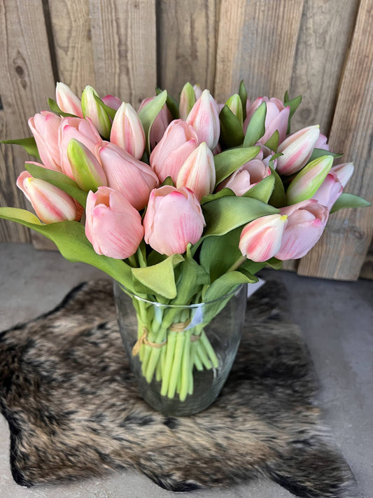 Tulpen "Rosa"