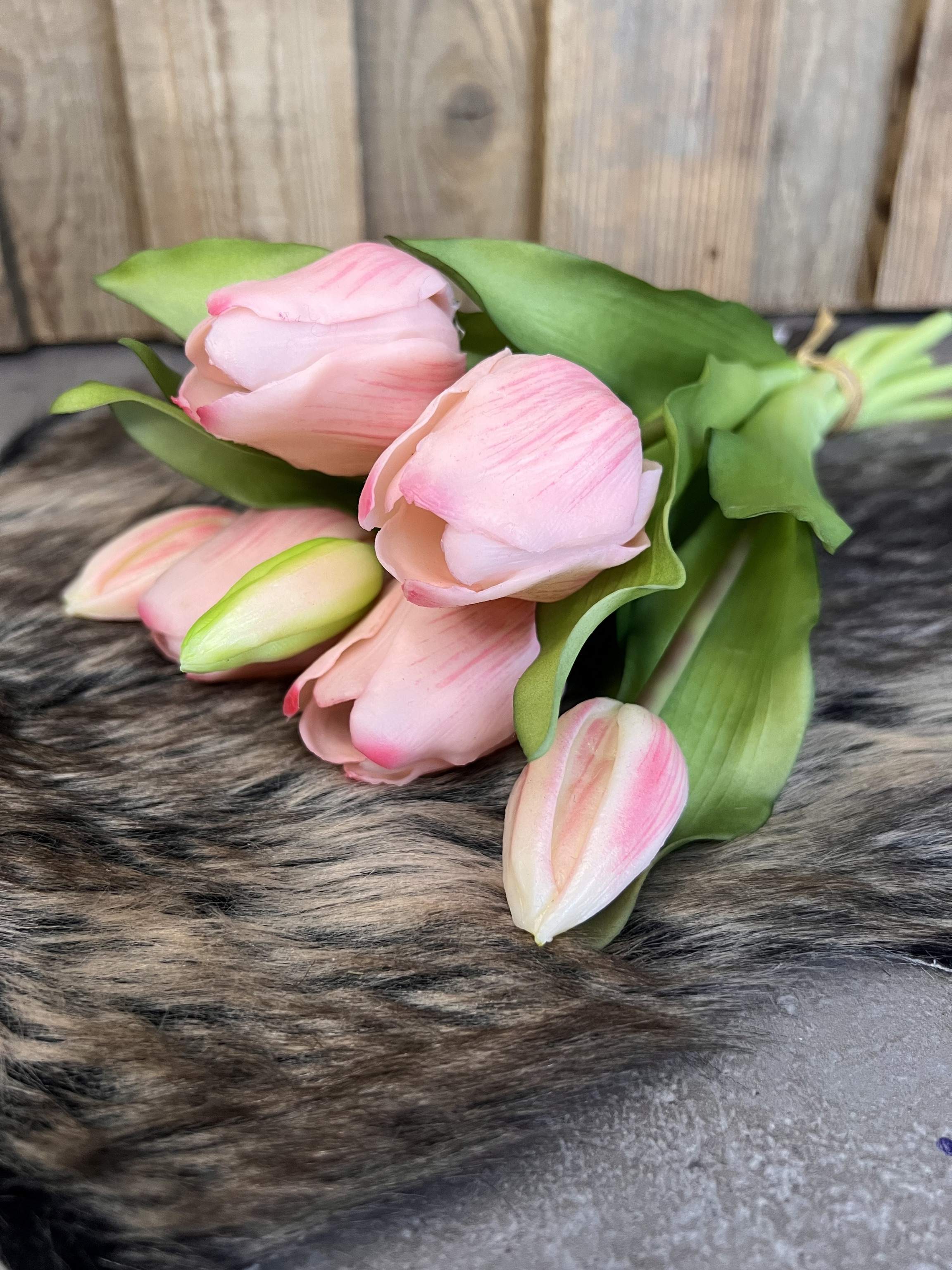 Tulpen "Rosa"