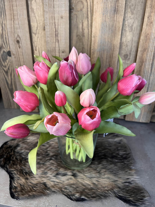 Tulpen "Pink"