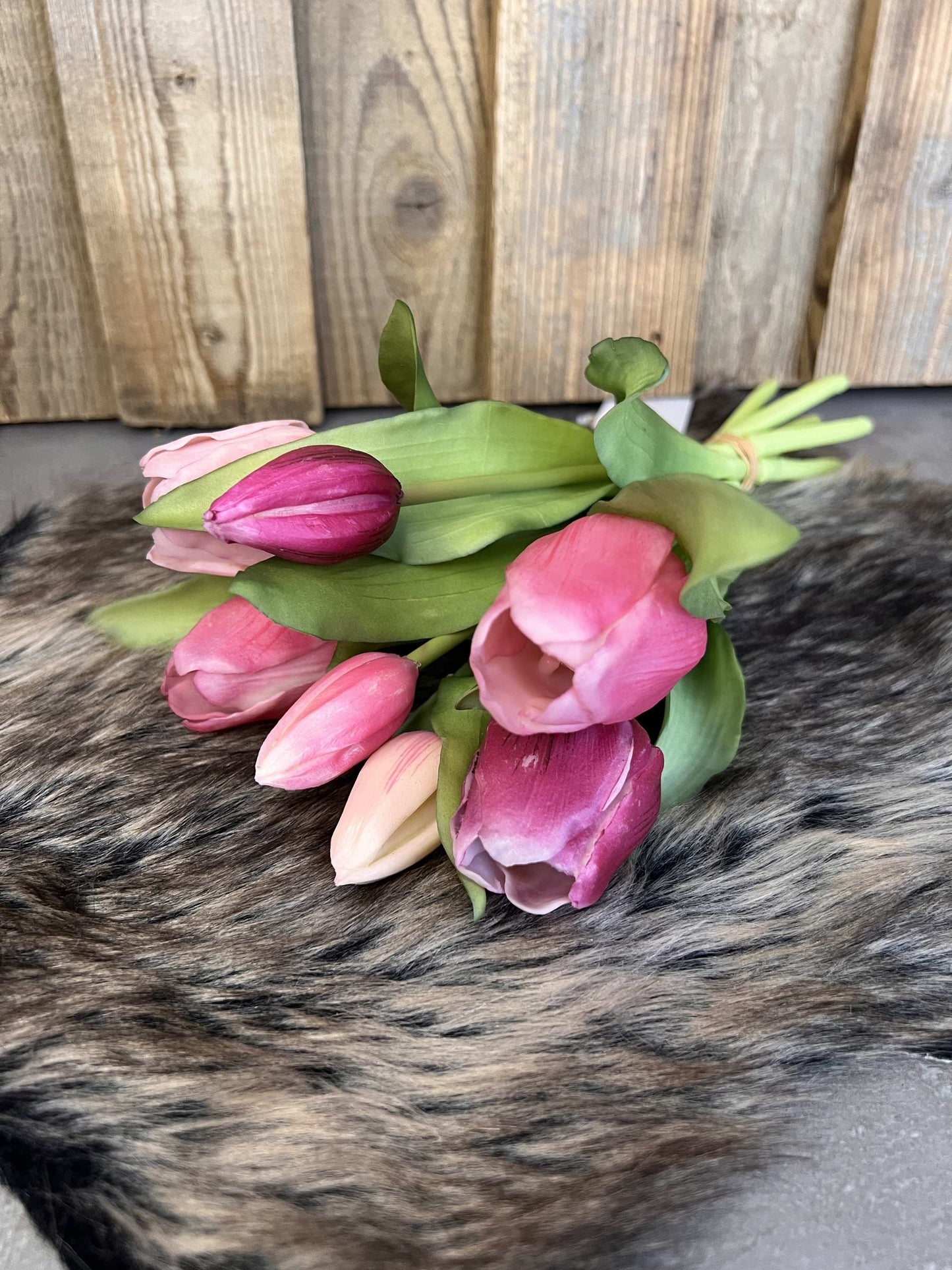 Tulpen "Pink"