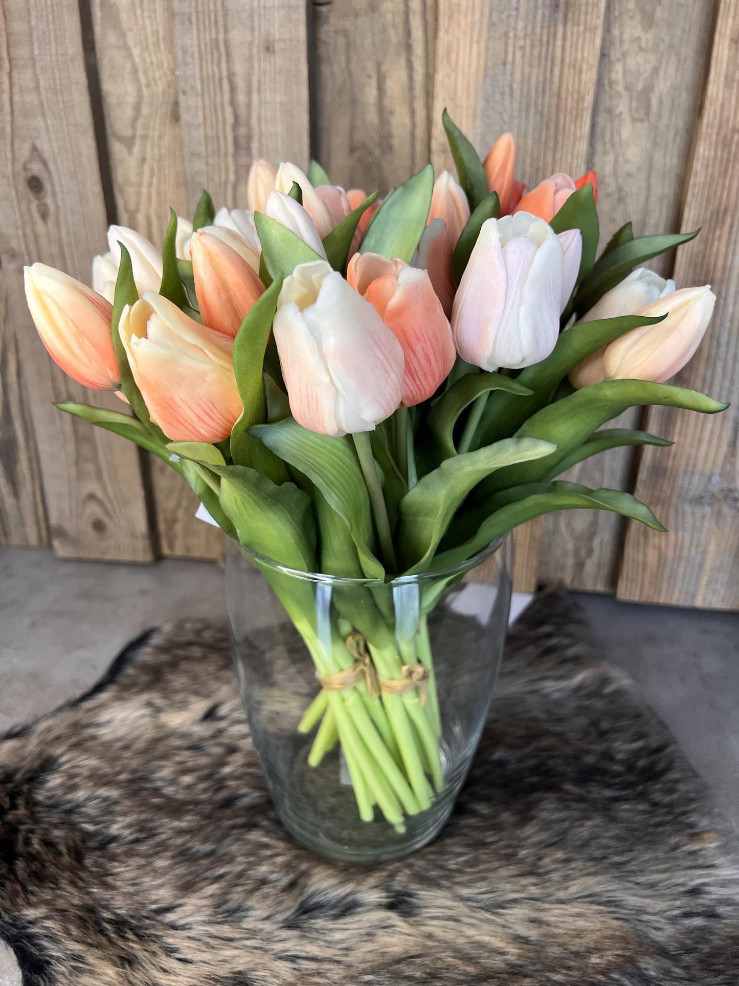 Tulpen "Apricot"