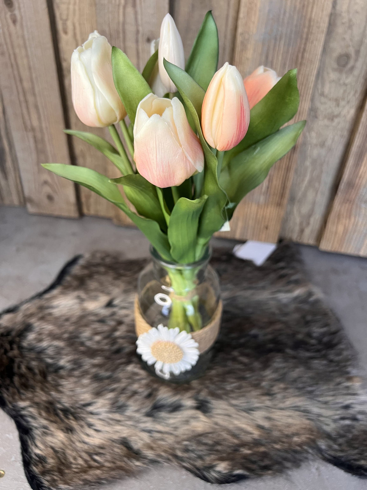 Tulpen "Apricot"