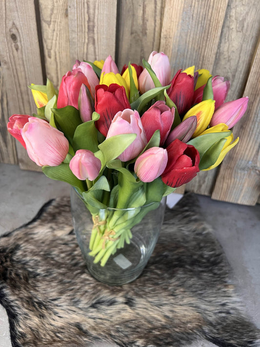 Tulpen "Bunt"