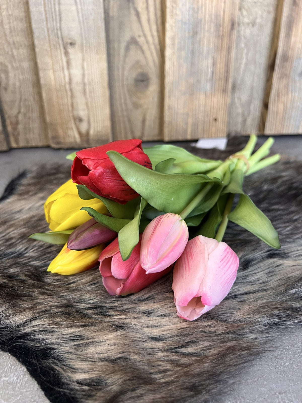 Tulpen "Bunt"