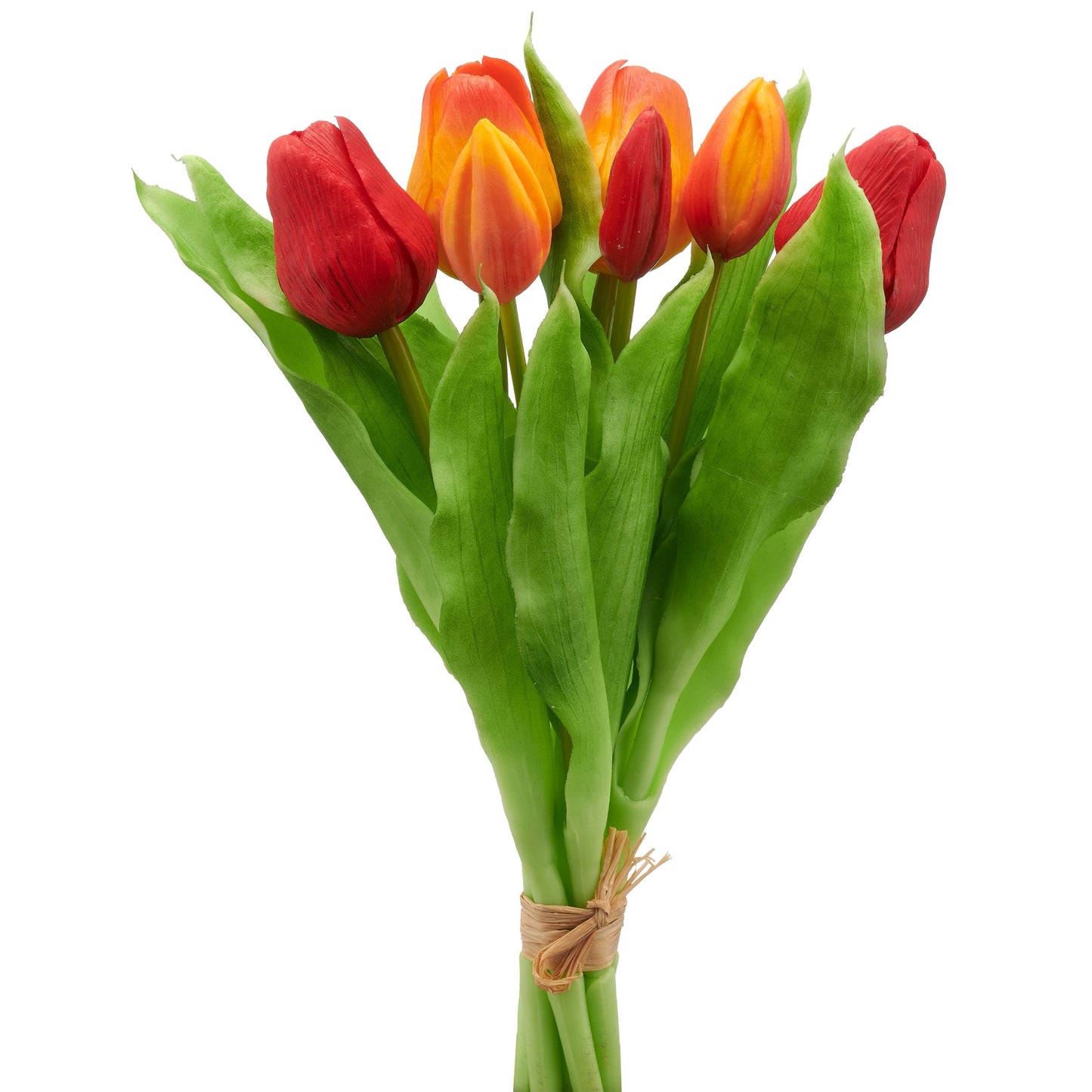 Tulpen "Rot/Orange"