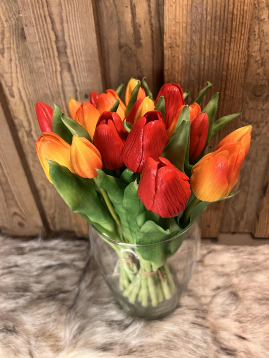 Tulpen "Rot/Orange"