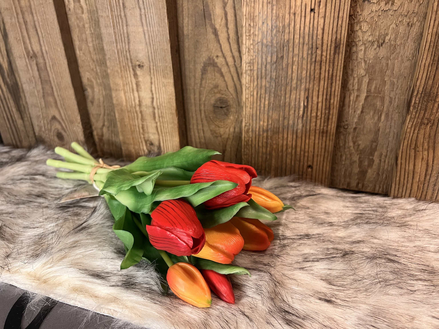 Tulpen "Rot/Orange"