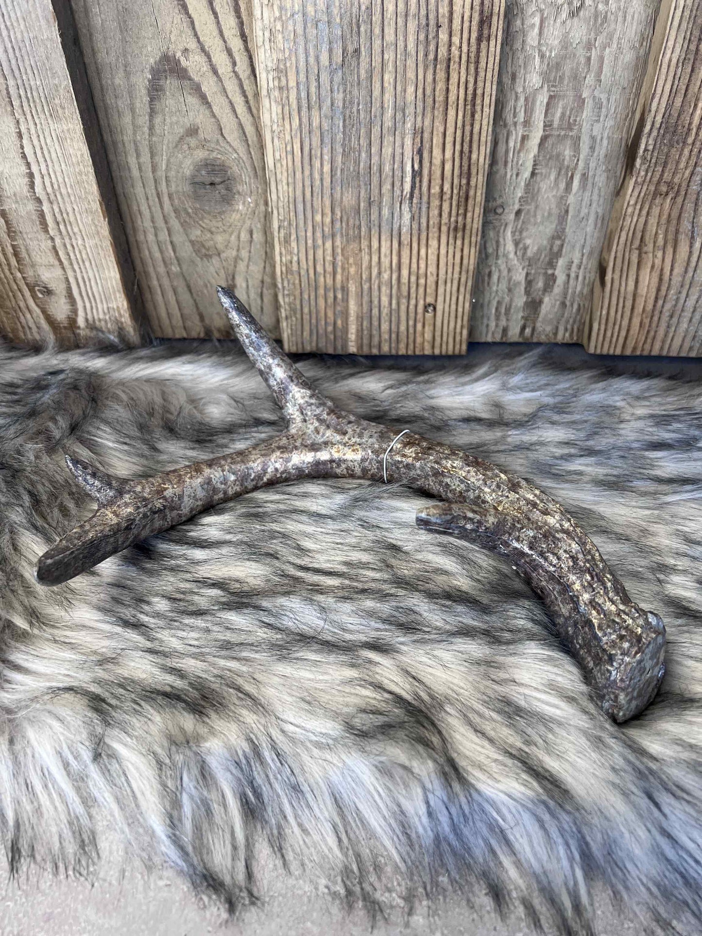 Geweih aus Polyresin